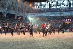 Cavalry - 00270